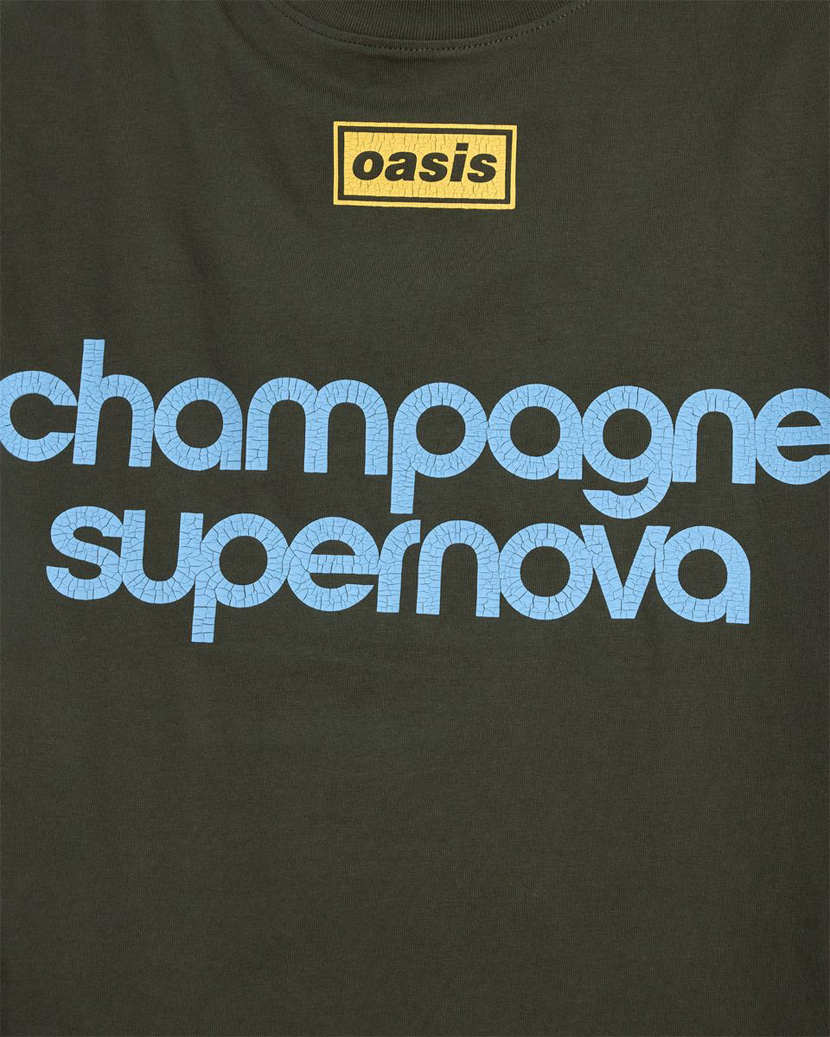 Pleasures X Oasis - Nordique T-Shirt - Faded Black