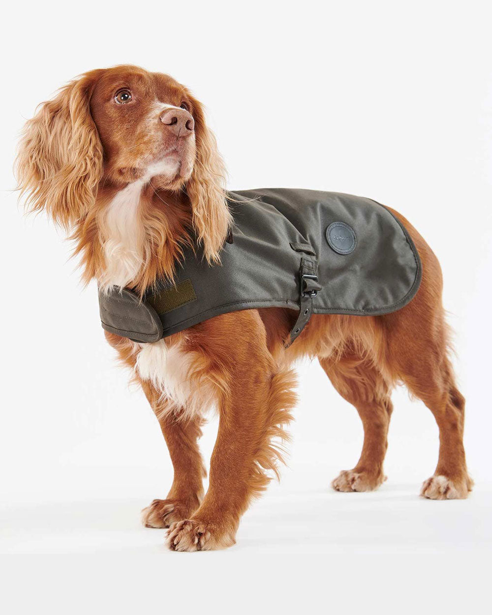 Barbour Wax Dog Coat - Olive