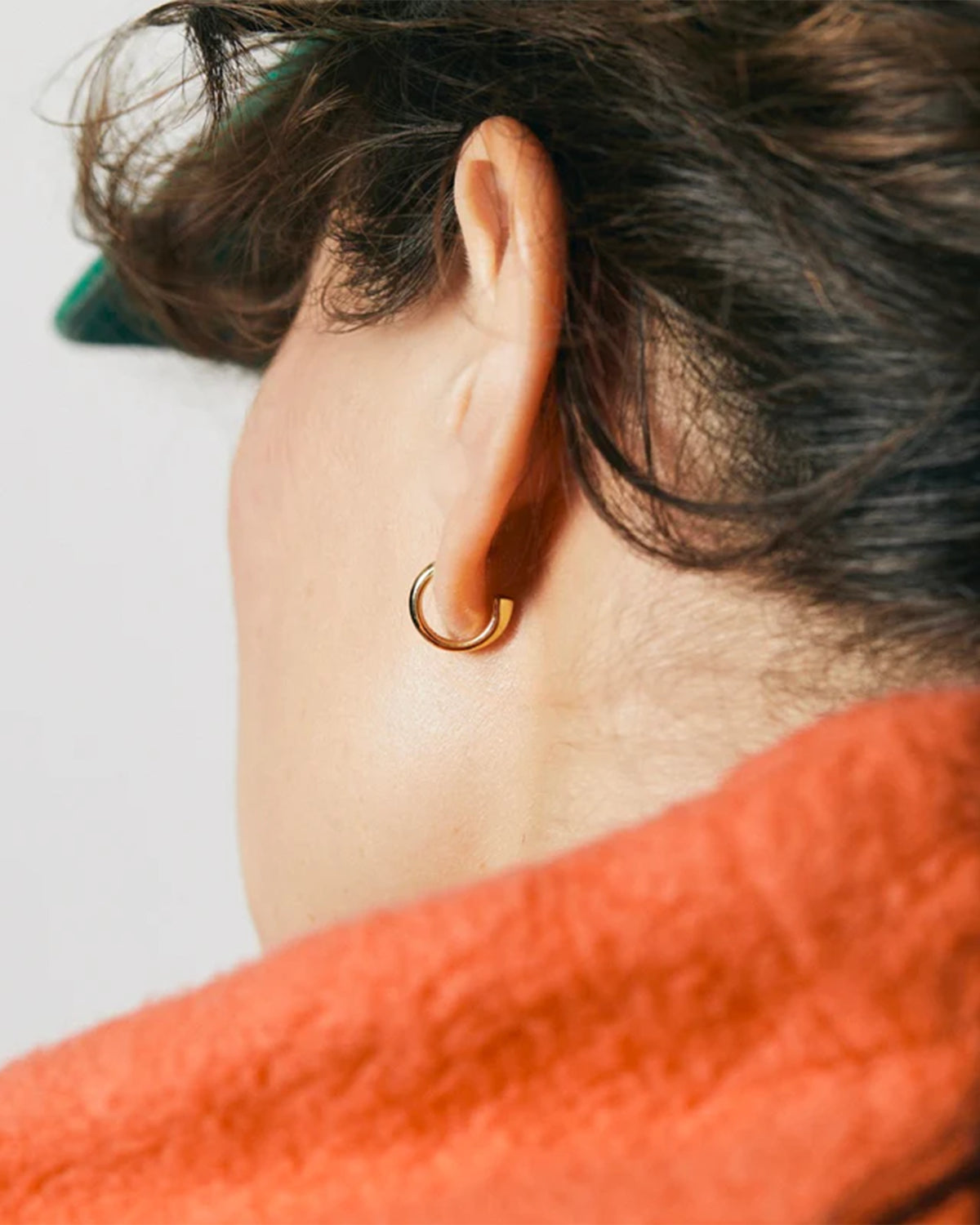 Embrace Sage Hoop for pendant Earrings - Gold