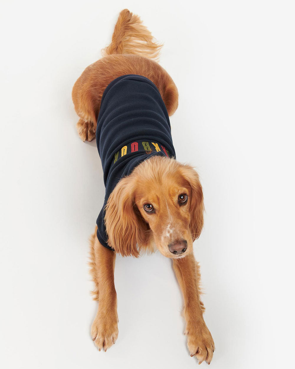 Barbour Logo Dog Hoody - Navy