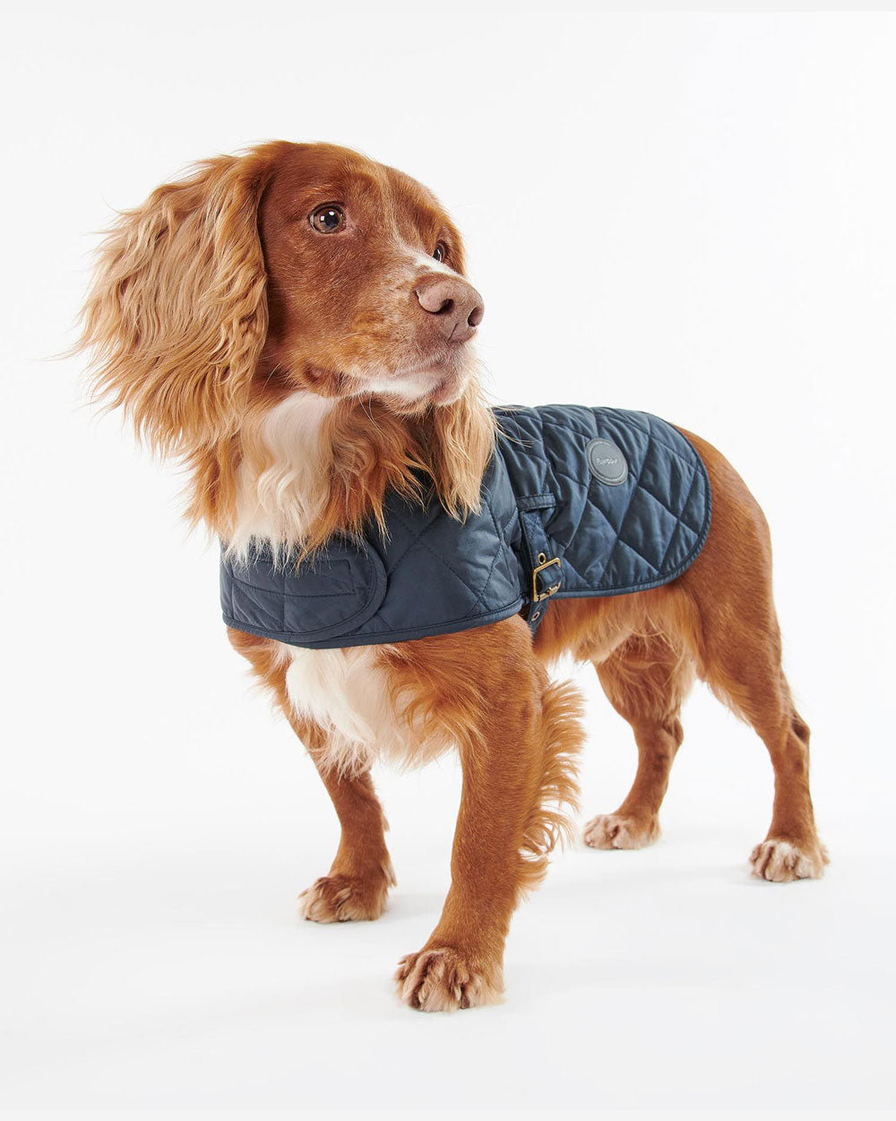 Qulted Dog Coat - Navy