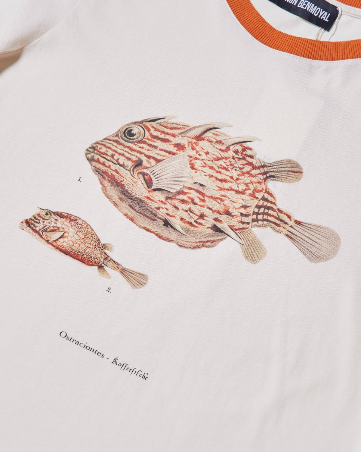 Tee-Shirt Fish - Beige