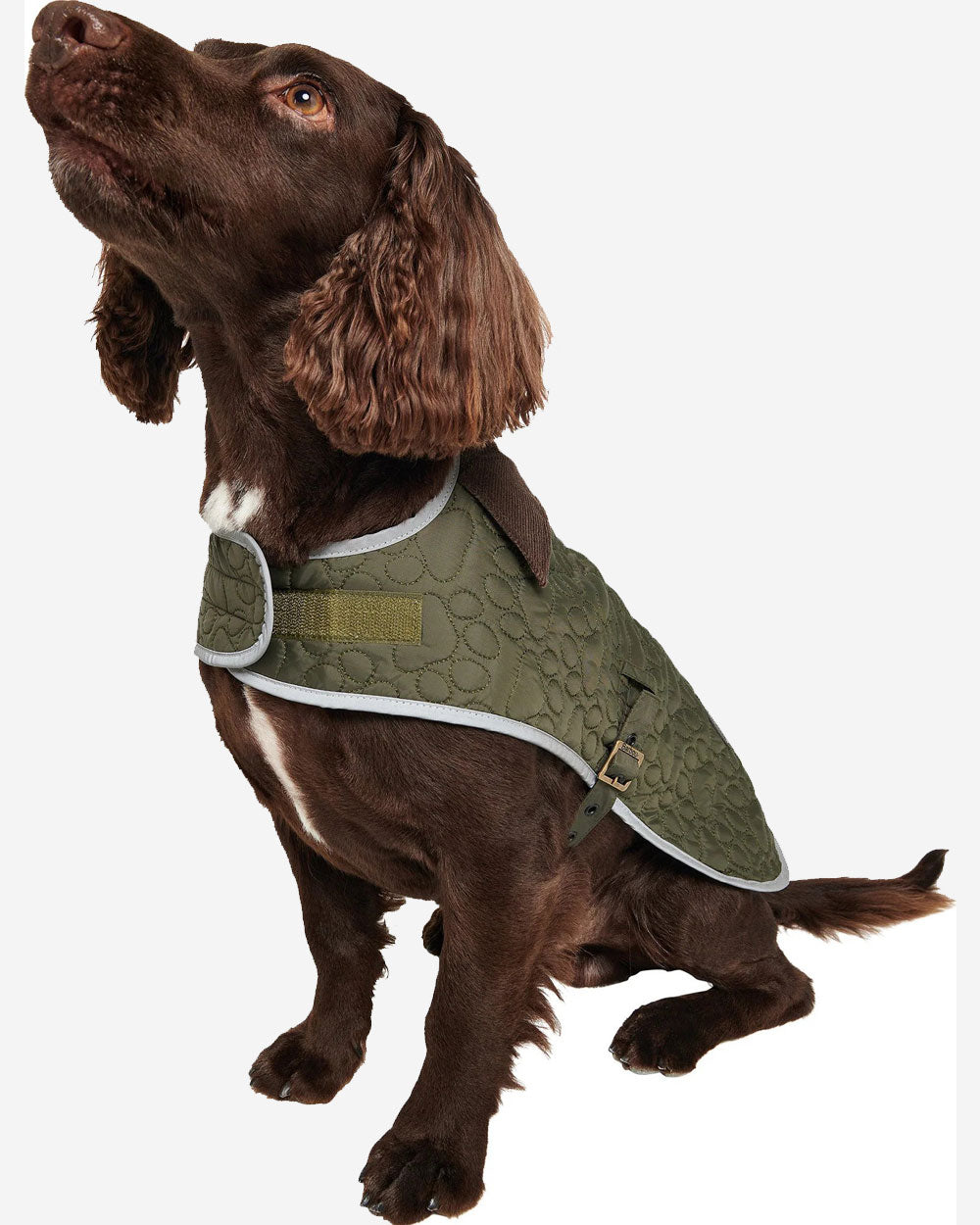 Paw Quilt Dog Coat - Olive