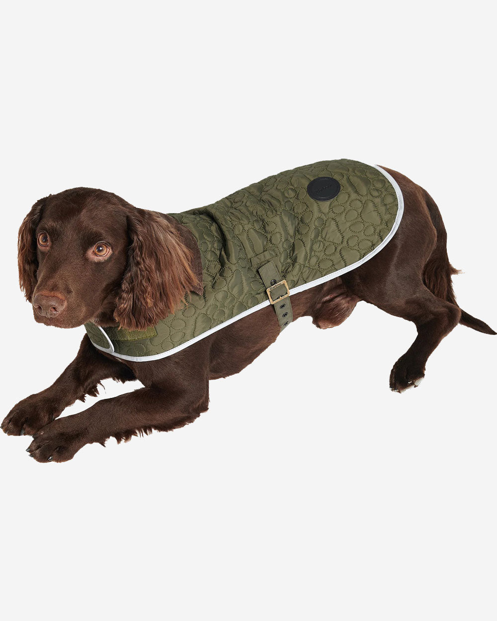 Paw Quilt Dog Coat - Olive