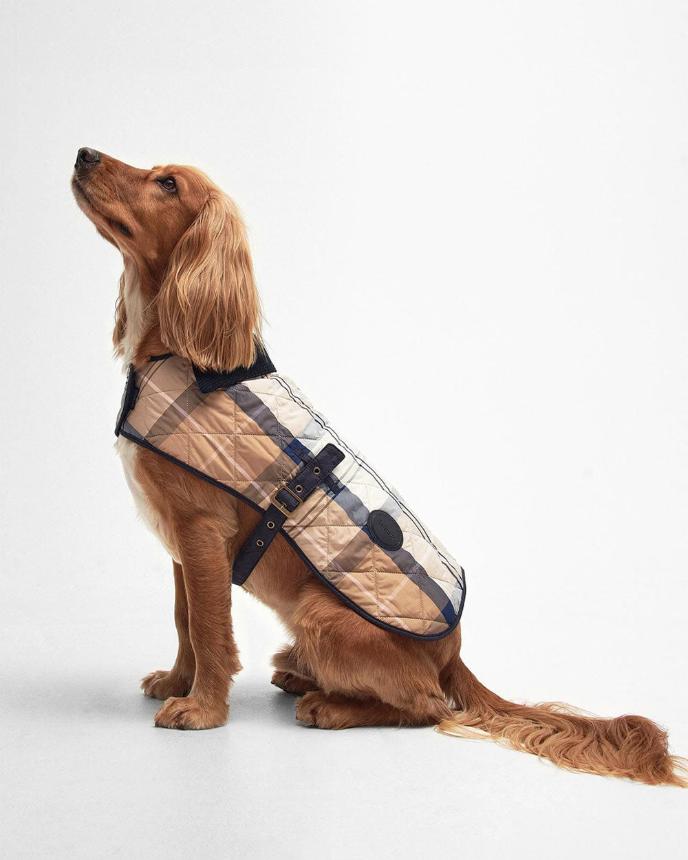 Tartan Dog Coat - Primrose Hessian